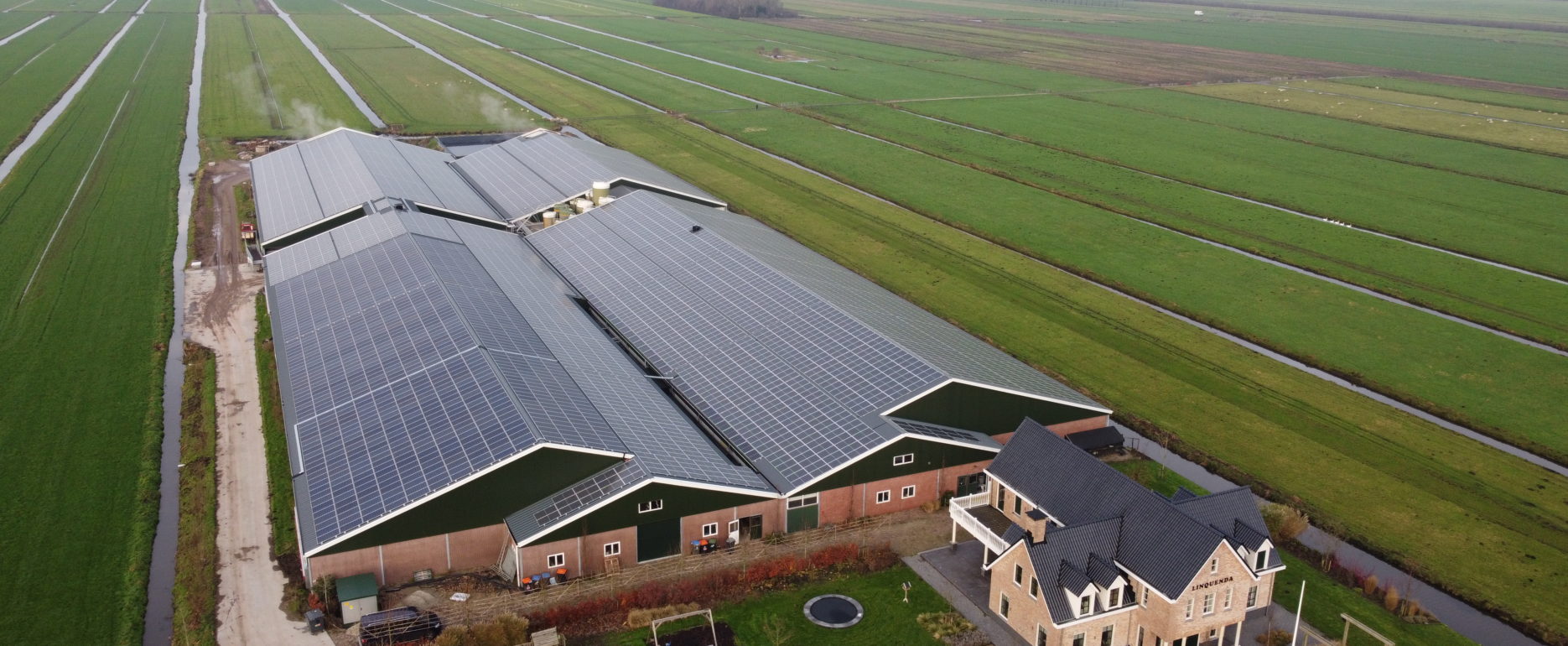 Langerak, Vink, Voorzijde