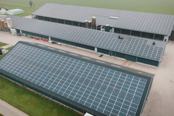 's.00_07_30_04.Still001