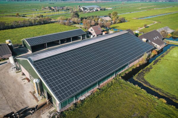 's.00_00_45_00.Still009