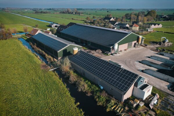 's.00_00_55_00.Still011