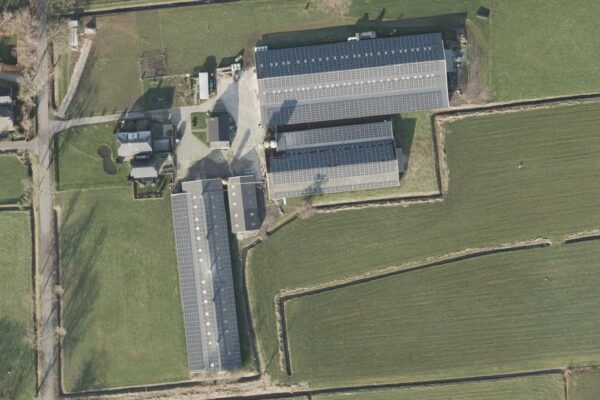 Groote Wooldweg Mostert